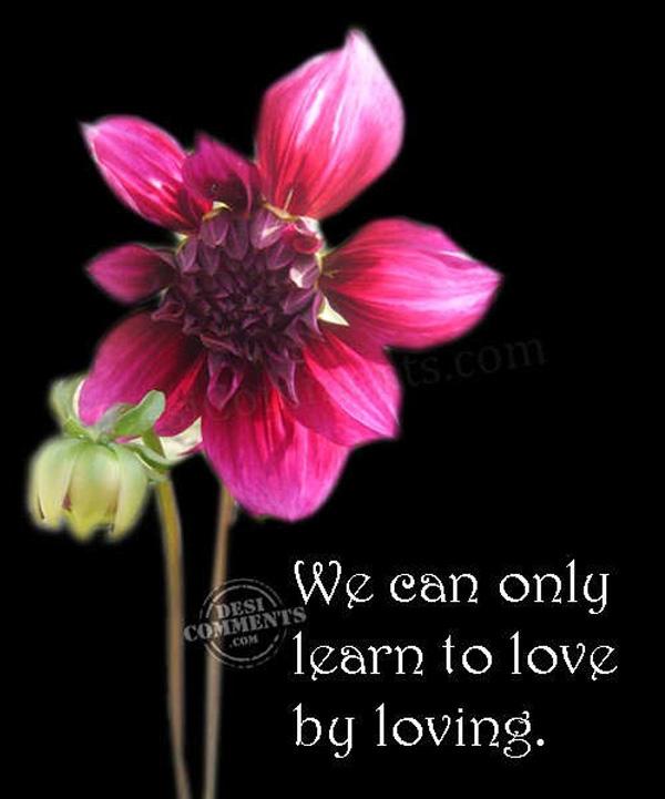 50+ True Love Quotes that will Touch Your Soul