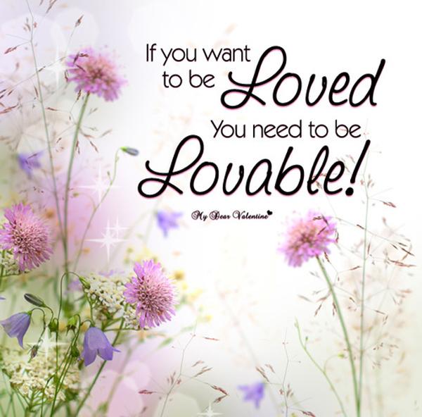 50+ True Love Quotes that will Touch Your Soul