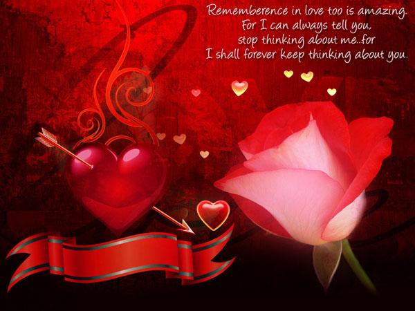 50+ True Love Quotes that will Touch Your Soul