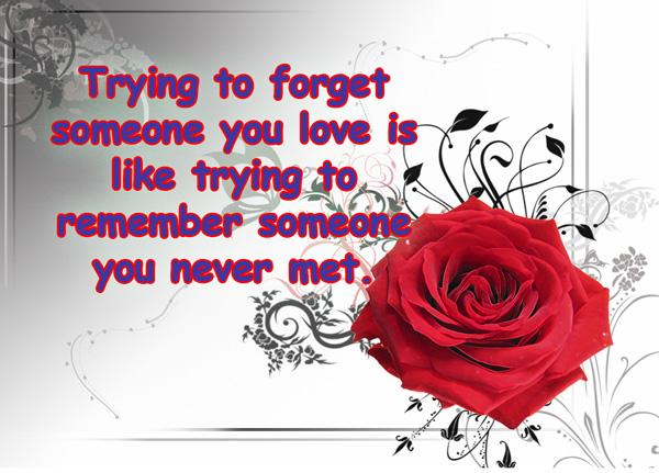 50+ True Love Quotes that will Touch Your Soul
