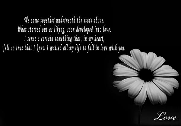 50+ True Love Quotes that will Touch Your Soul