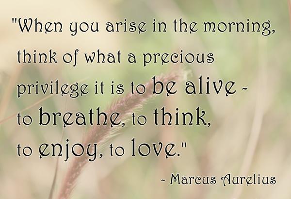 50 Inspirational Life Quotes