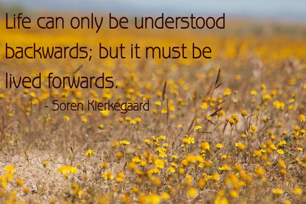50 Inspirational Life Quotes