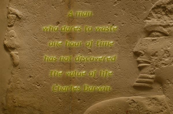 50 Inspirational Life Quotes