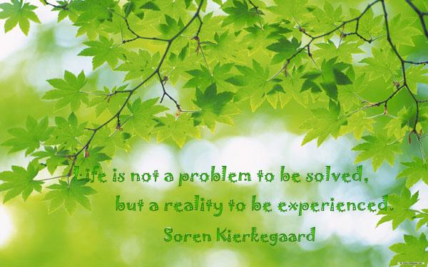50 Inspirational Life Quotes