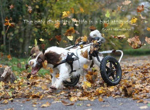 50 Inspirational Life Quotes