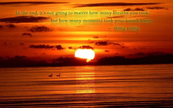 50 Inspirational Life Quotes