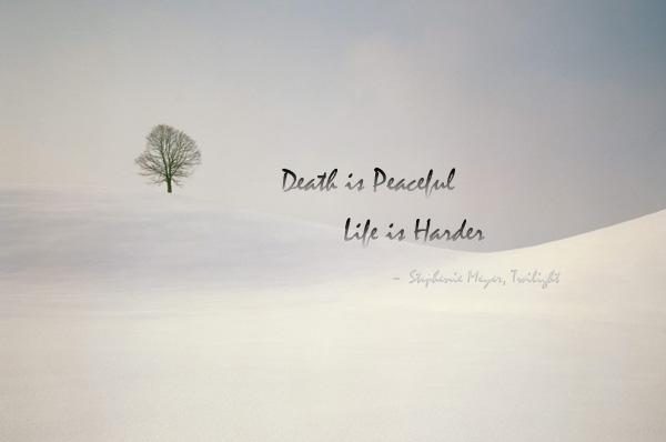 50 Inspirational Life Quotes