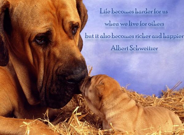 50 Inspirational Life Quotes