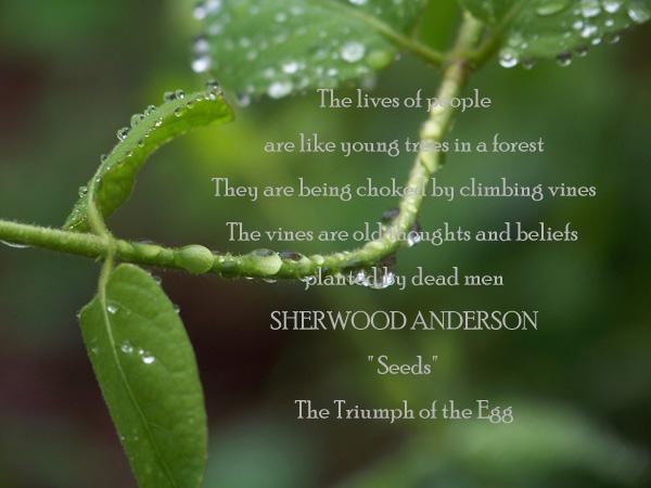 50 Inspirational Life Quotes