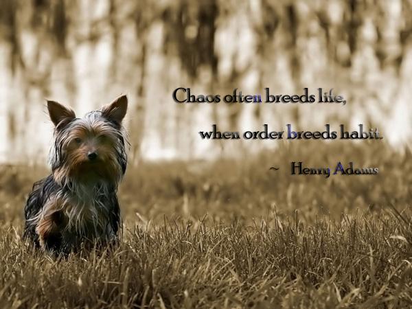 50 Inspirational Life Quotes