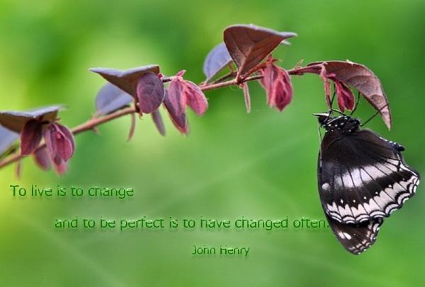 50 Inspirational Life Quotes
