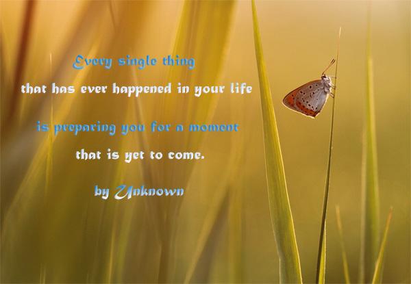 50 Inspirational Life Quotes