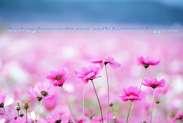 50 Inspirational Life Quotes