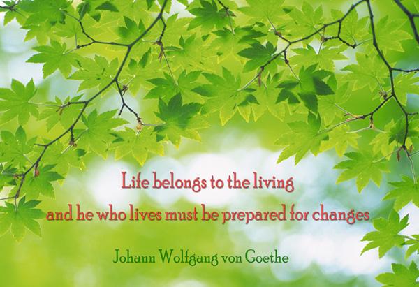 50+ Quotes about Change