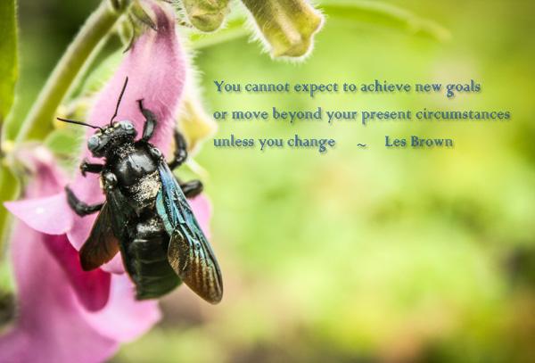 50+ Quotes about Change