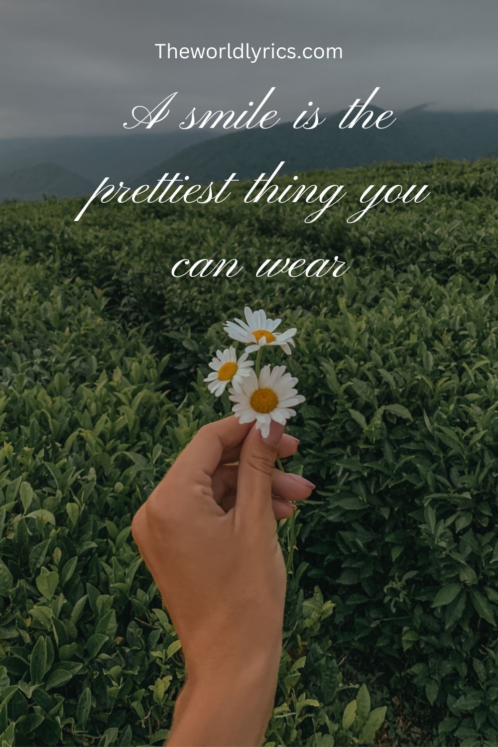 50+ Inspirational Smile Quotes