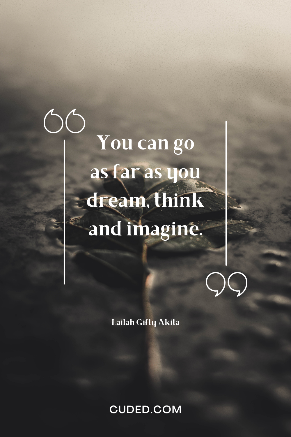 35 Inspirational Quotes about Dream Big