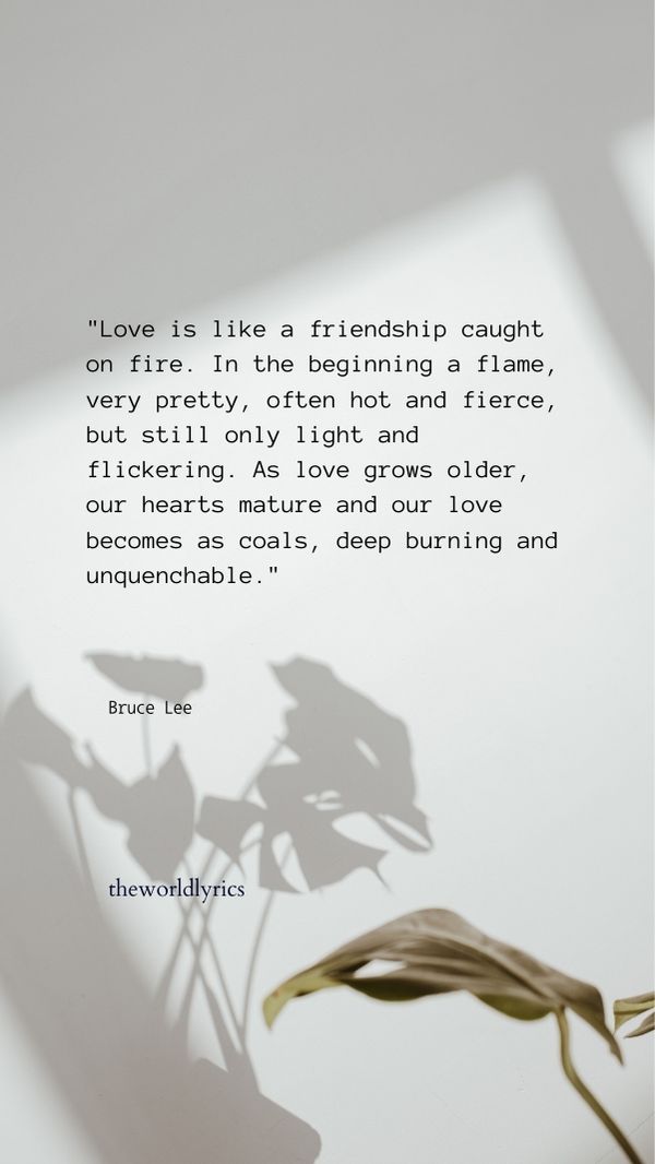 45 Heartfelt Quotes About Romantic Love to Warm Your Soul