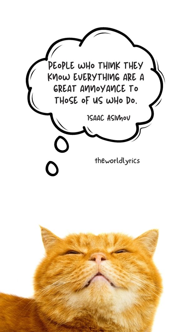 90 Amusing Funny Quotes to Make You Laugh