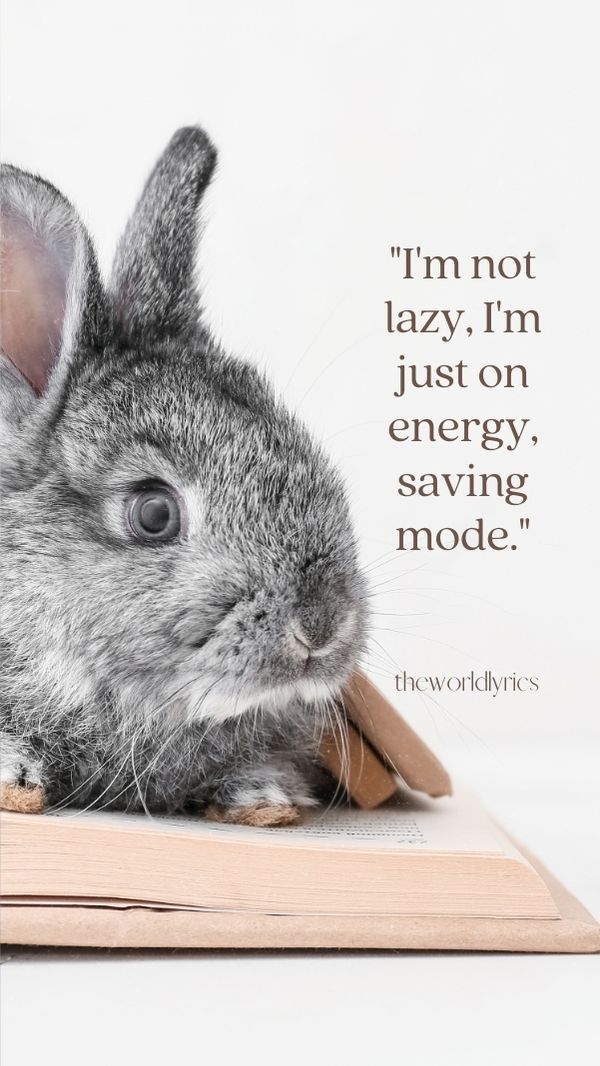 90 Amusing Funny Quotes to Make You Laugh