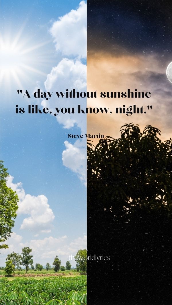 90 Amusing Funny Quotes to Make You Laugh