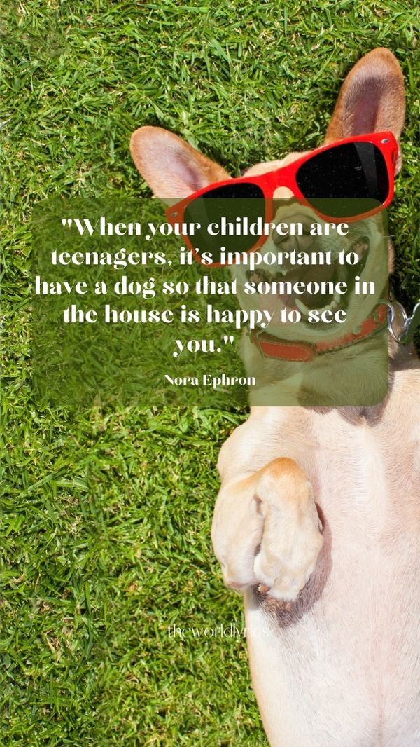 90 Amusing Funny Quotes to Make You Laugh