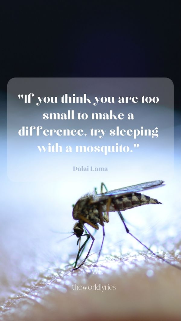 90 Amusing Funny Quotes to Make You Laugh