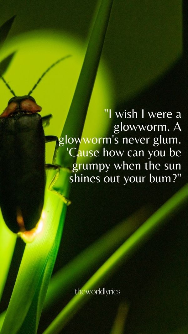 90 Amusing Funny Quotes to Make You Laugh