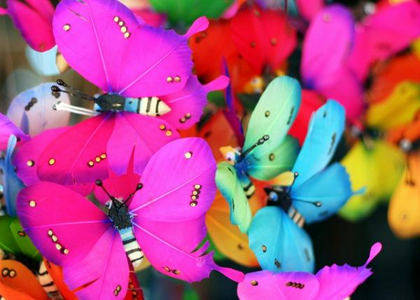30 Beautiful Butterfly Pictures