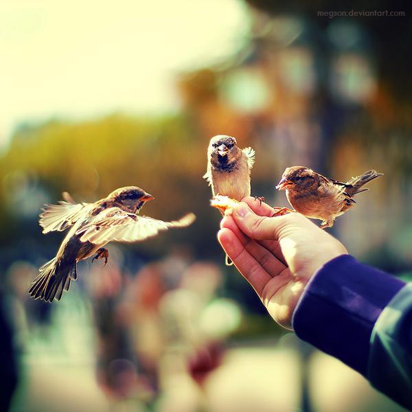 Magda Kolakowska Amazing Photography by 20 Photographers
