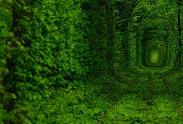 Tunnel of Love