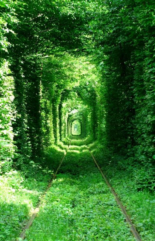 Tunnel of Love