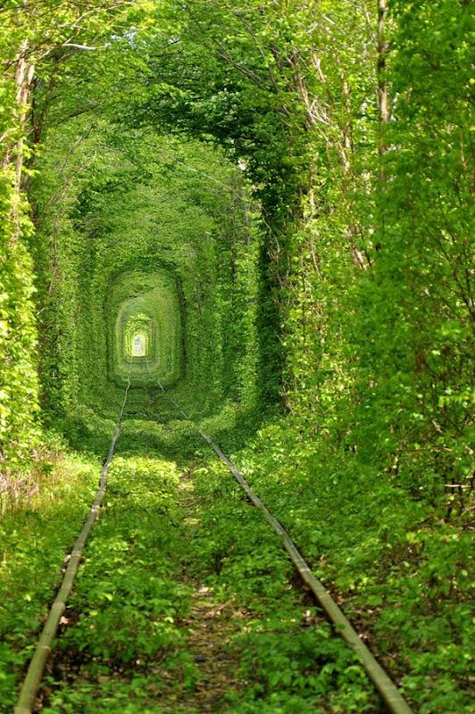 Tunnel of Love