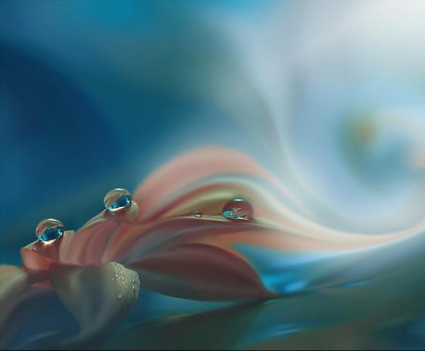 29 Juliana-Nan_7600_495 50 Inspiring Examples of Water in Art