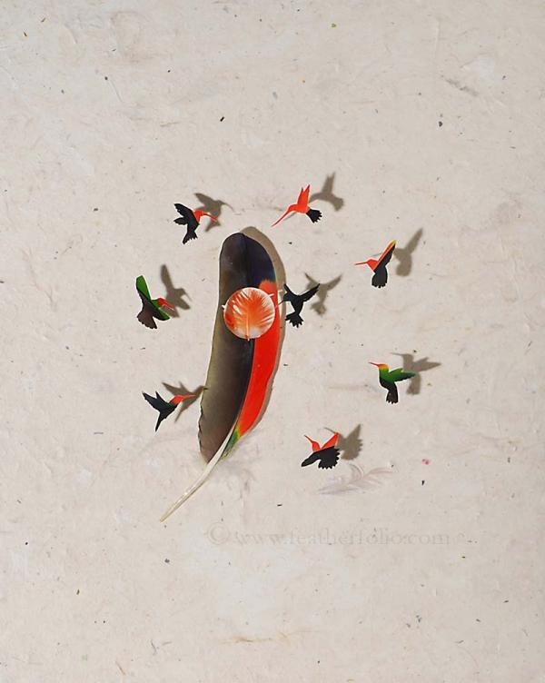 Feather Art by Chris Maynard