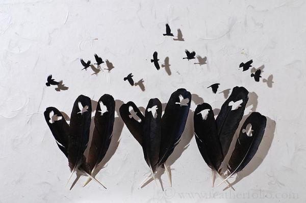 Feather Art by Chris Maynard