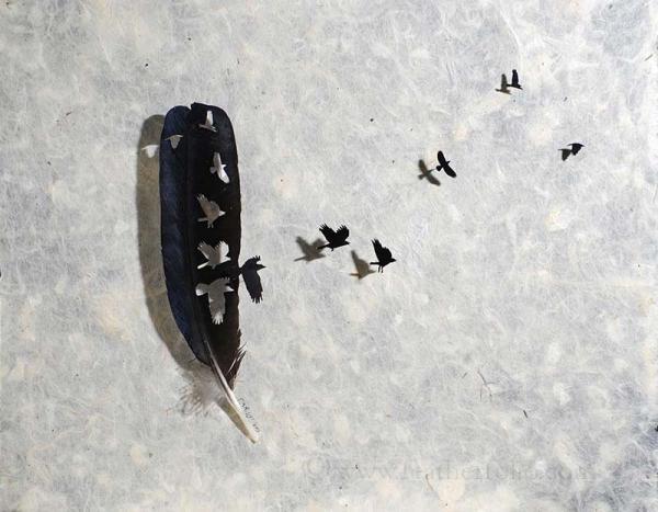 Feather Art by Chris Maynard