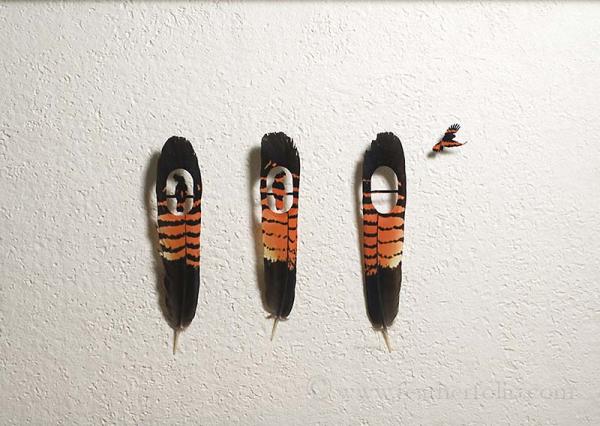 Feather Art by Chris Maynard