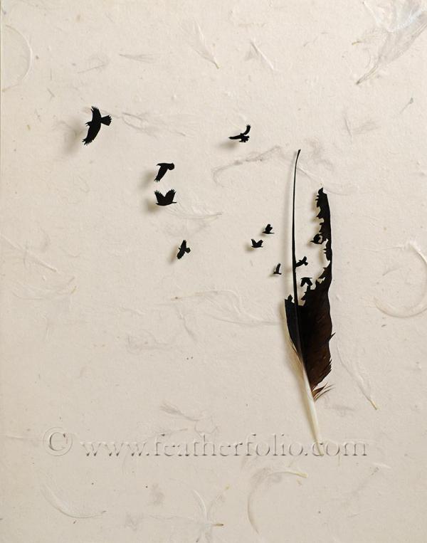 Feather Art by Chris Maynard