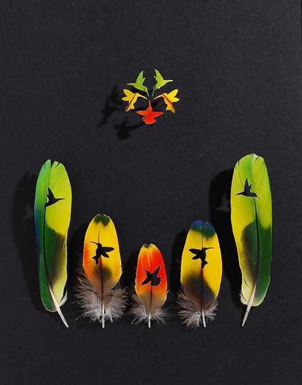 Feather Art by Chris Maynard