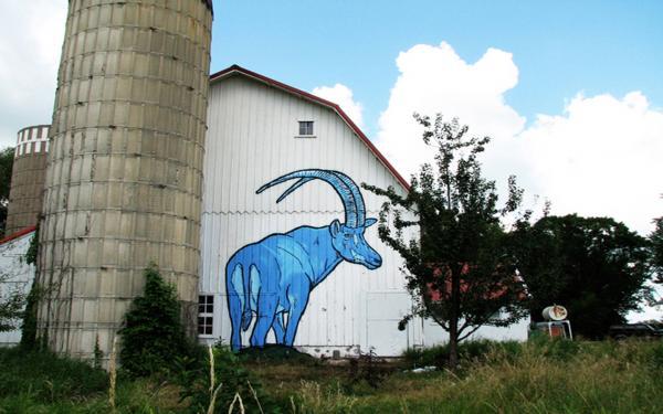 Street Art by Broken Crow