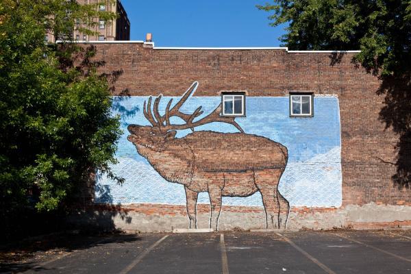 Street Art by Broken Crow