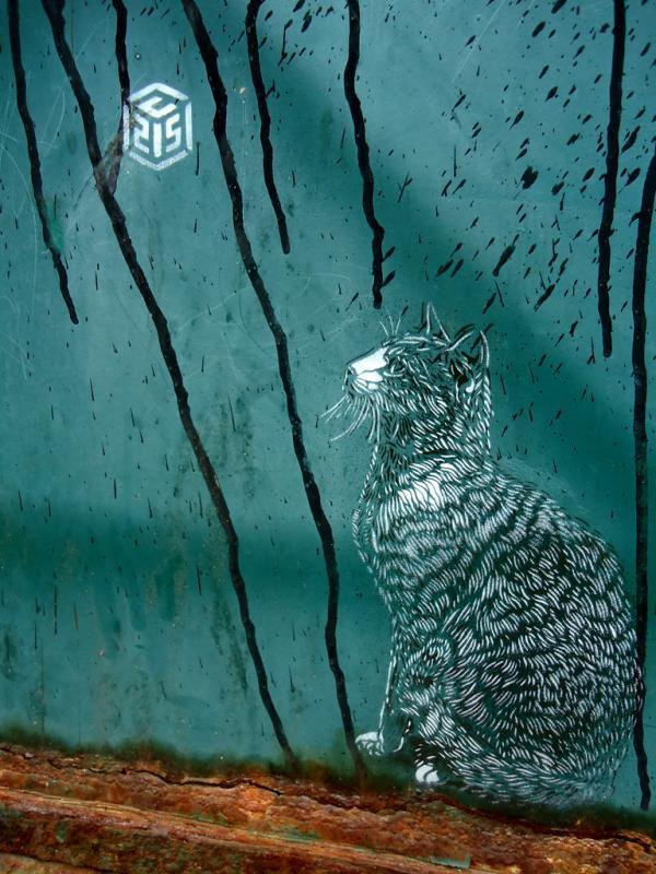 Street Art by C215
