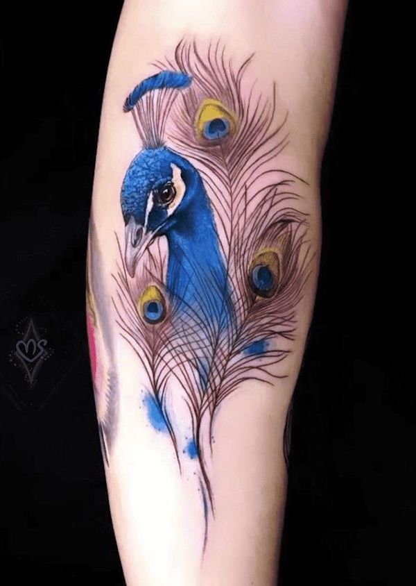 50 Beautiful Feather Tattoo Designs