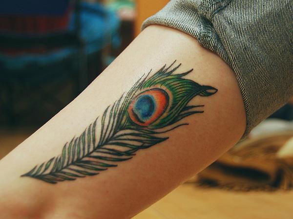 50 Beautiful Feather Tattoo Designs