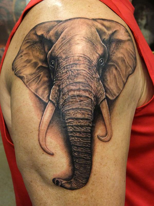 110 Animal Tattoo Designs with Meanings