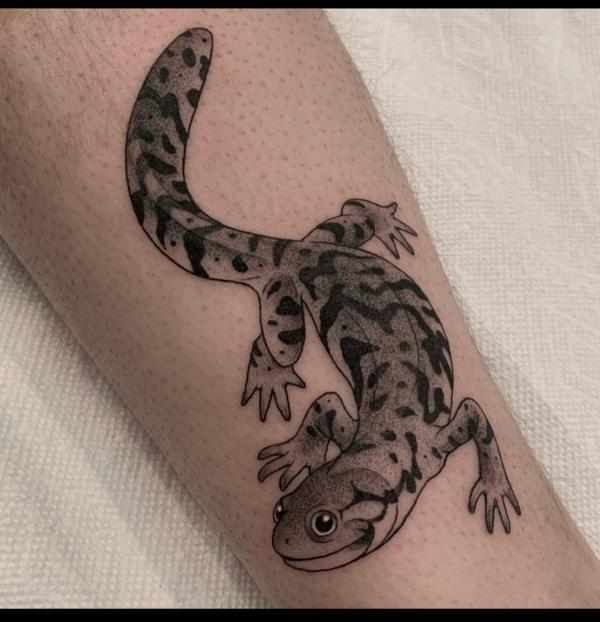 110 Animal Tattoo Designs with Meanings
