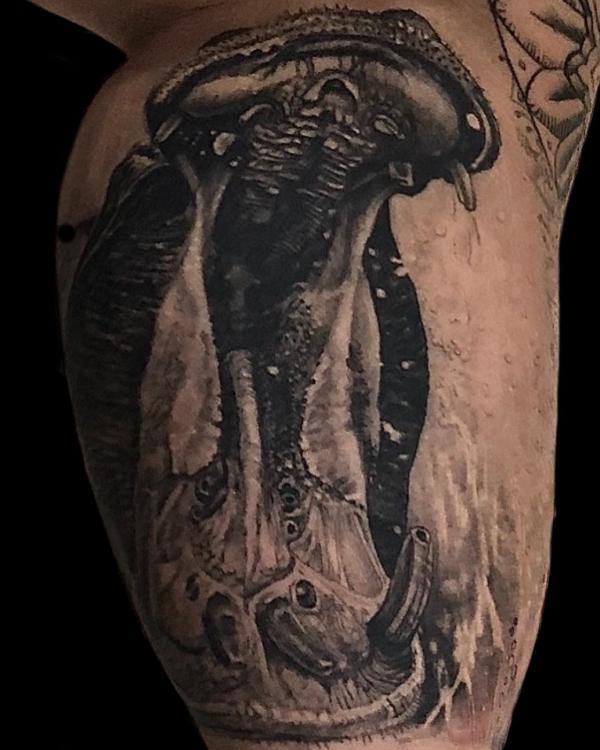 110 Animal Tattoo Designs with Meanings