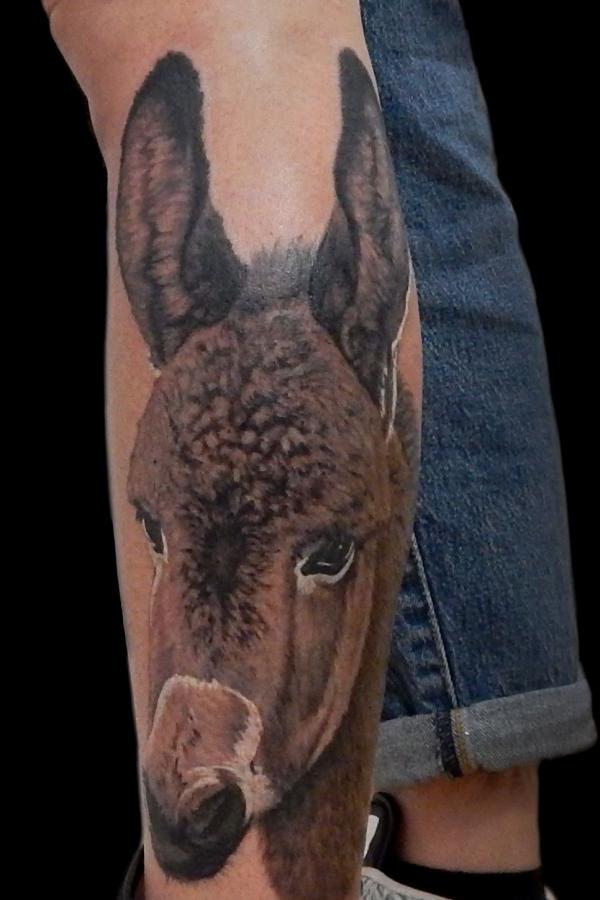 110 Animal Tattoo Designs with Meanings